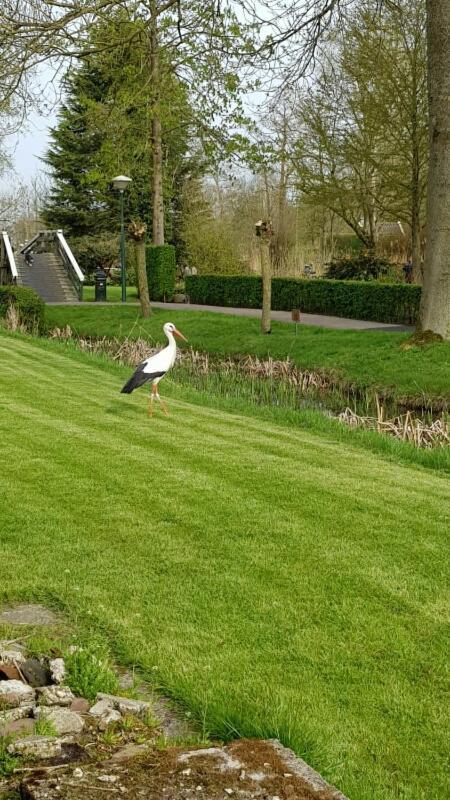 Farmhouse Lodge Giethoorn Exterior foto